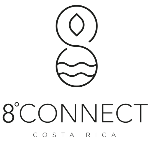 8-connect-logo-black-style